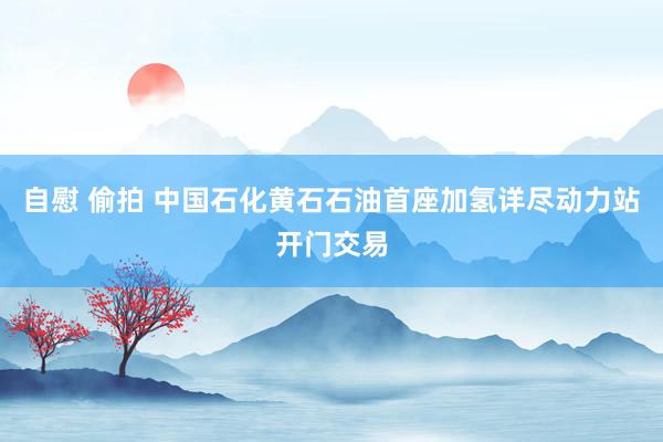自慰 偷拍 中国石化黄石石油首座加氢详尽动力站开门交易