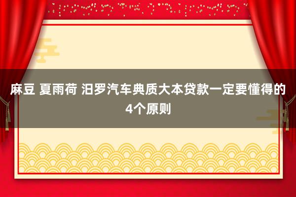麻豆 夏雨荷 汨罗汽车典质大本贷款一定要懂得的4个原则