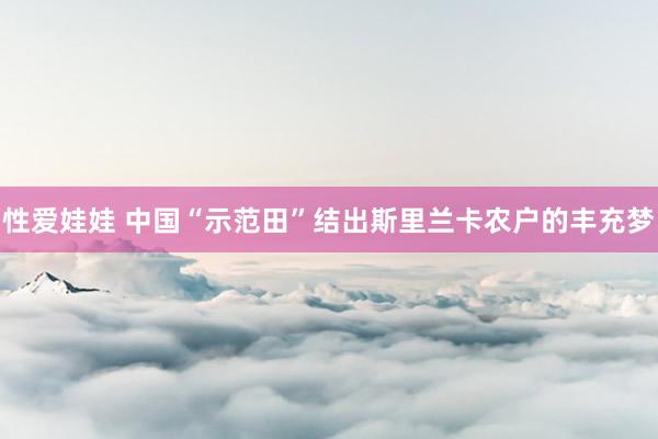 性爱娃娃 中国“示范田”结出斯里兰卡农户的丰充梦