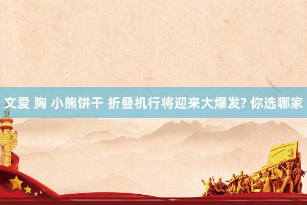 文爱 胸 小熊饼干 折叠机行将迎来大爆发? 你选哪家