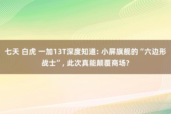七天 白虎 一加13T深度知道: 小屏旗舰的“六边形战士”， 此次真能颠覆商场?