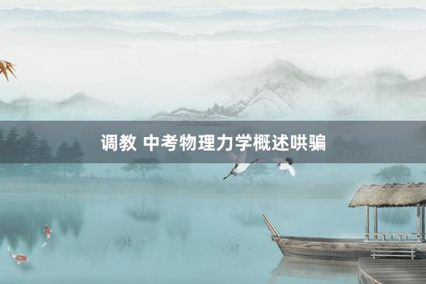 调教 中考物理力学概述哄骗